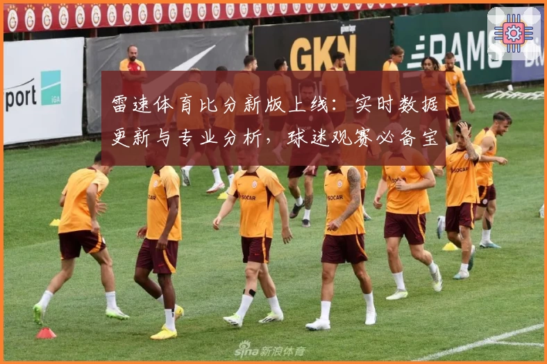 雷速体育比分新版上线：实时数据更新与专业分析，球迷观赛必备宝典
